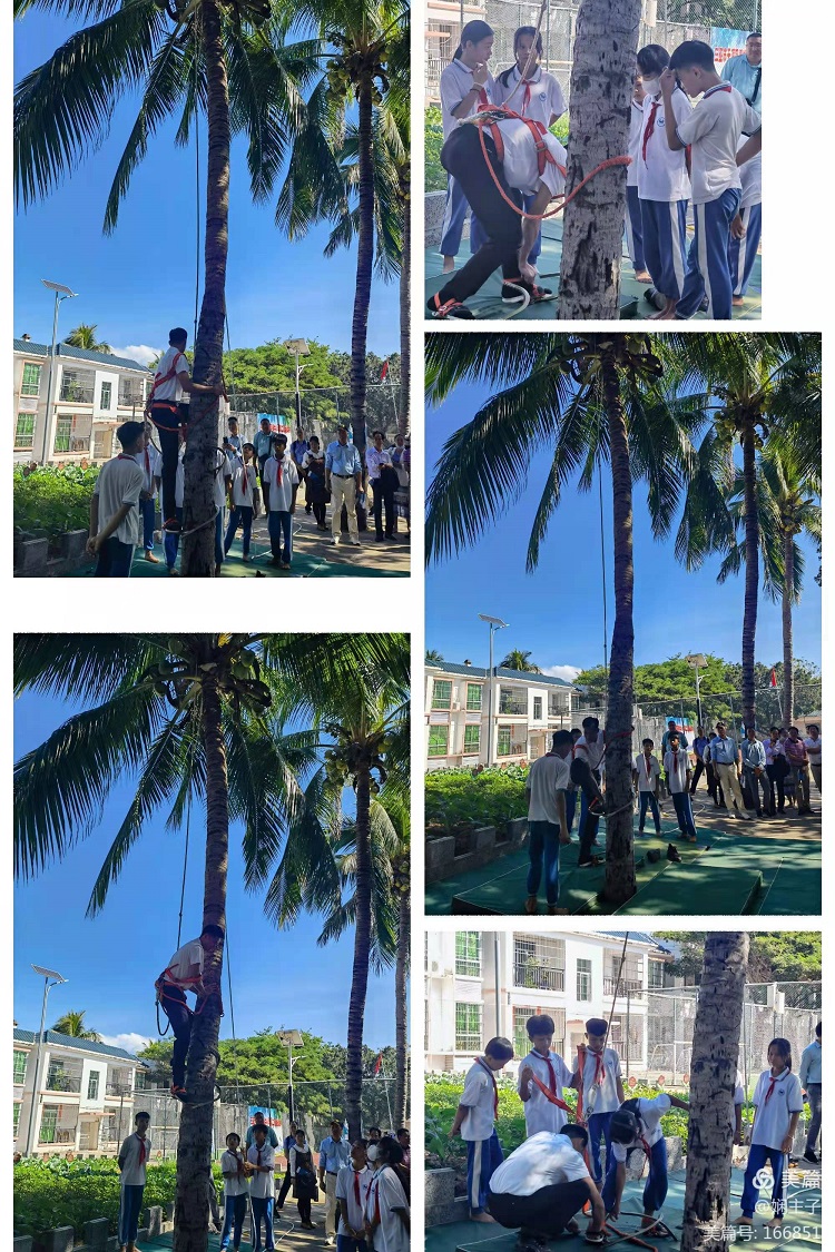 1641268843206628.jpg 图8.jpg